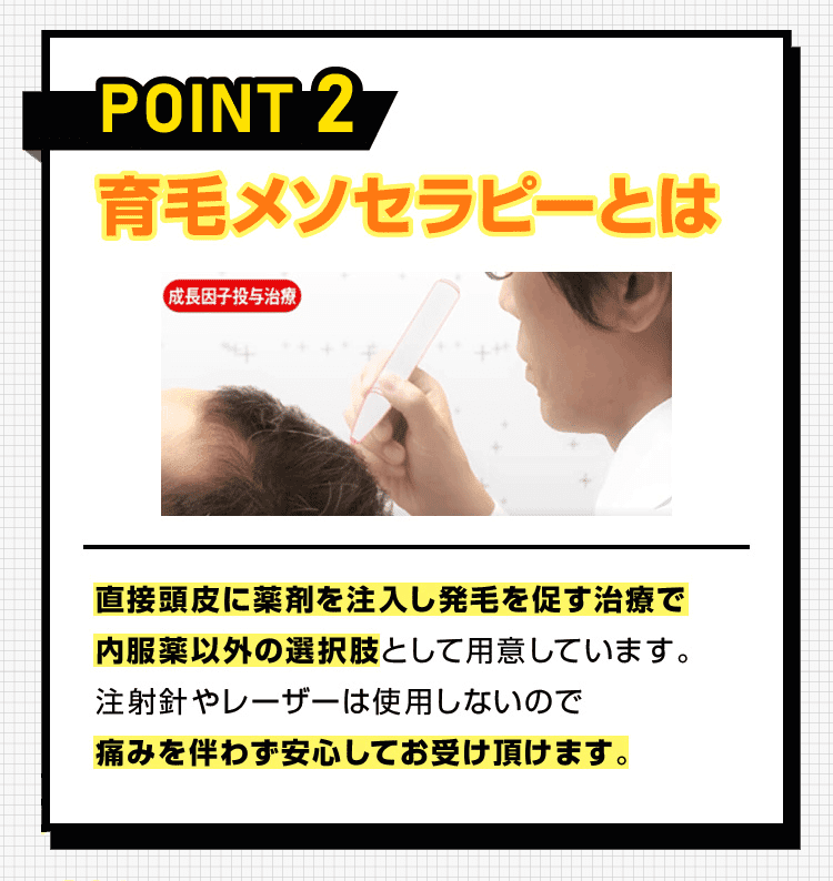 POINT 2 育毛メソセラピーとは