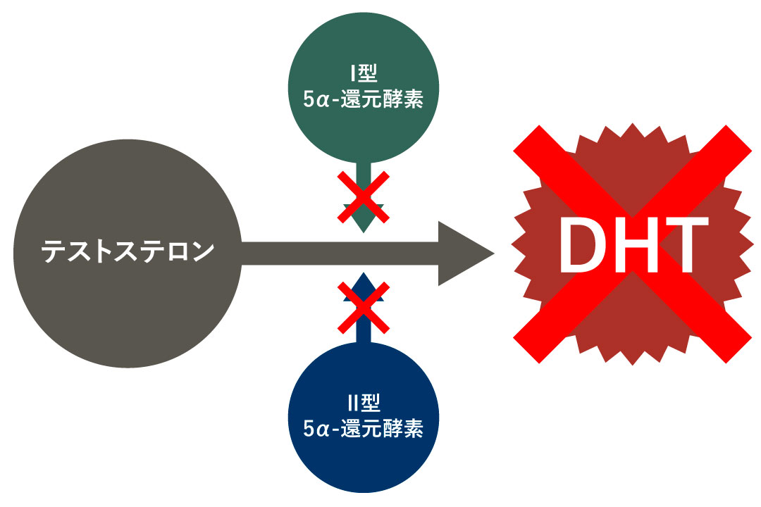 デュタステリド内服薬とは 効果および副作用・服用方法・注意点について